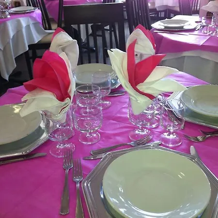 Aurora גביצ'ה מארה